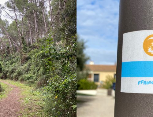 2. Etappe: 31 km – Route der krassen Gegensätze