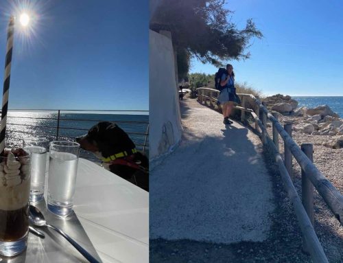 5. Etappe:  Was für ein Blau – die Côte Bleue